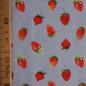 Preview: Baumwolljersey Erdbeeren Obst grau